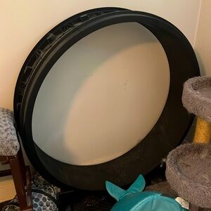 Cat treadmill (wheel)